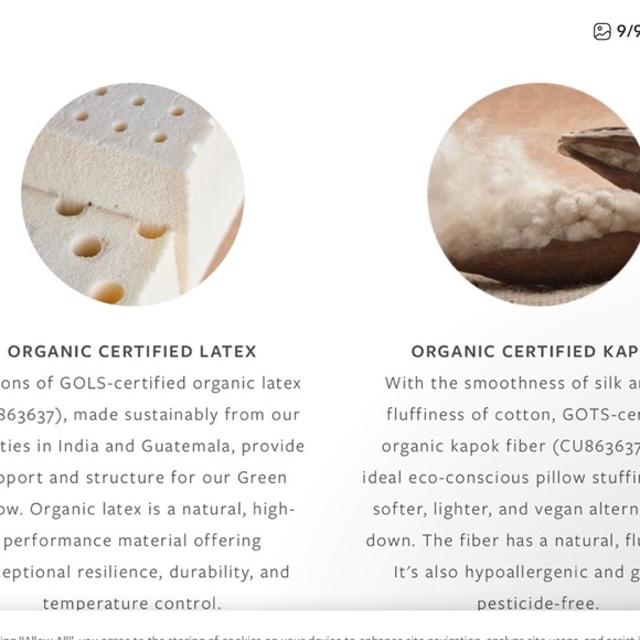 Avocado Organic Pillow with Natural Latex and Kapok Fill, QUEEN, NWOT OPEN box - Picture 9 of 9